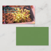 Microgreens Visitekaartje (Voorkant / Achterkant)