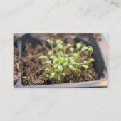Microgreens Visitekaartje (Voorkant)