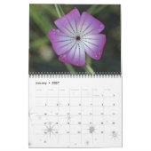 microkosmos kalender (Jan 2027)