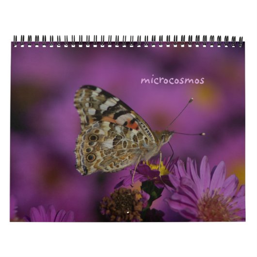 microkosmos kalender (Hoes)