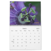 microkosmos kalender (Mar 2027)