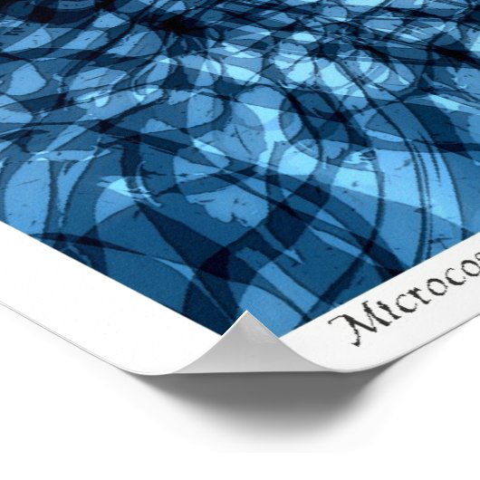 microkosmos poster (Hoek)