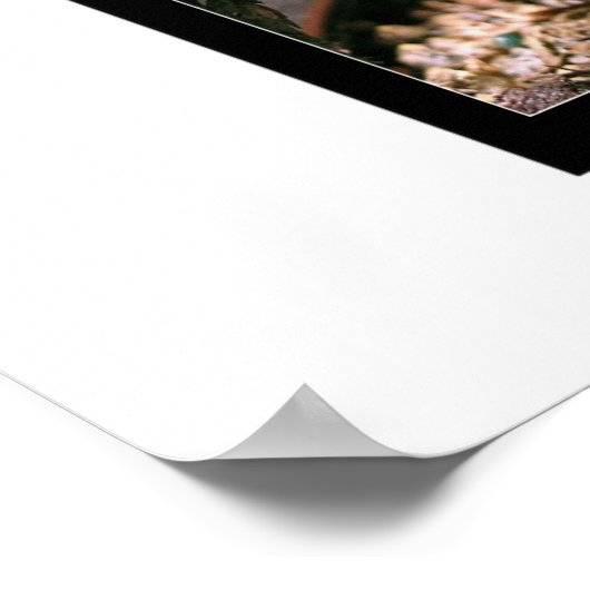 microkosmos poster (Hoek)