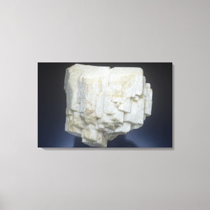 microlijn canvas afdruk