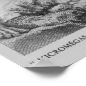 Micromega's halen het schip vakkundig op poster (Hoek)