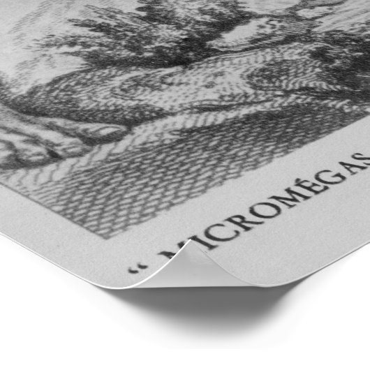 Micromega's halen het schip vakkundig op poster (Hoek)