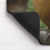 Micronesia Kingfisher Muismat (Hoek)