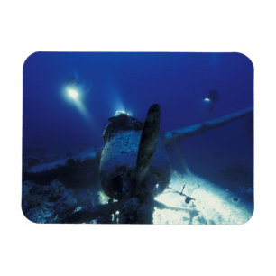 Micronesia, Palau, werelderfgoed. Duikers Magneet
