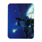 Micronesia, Palau, werelderfgoed. Duikers Magneet (Verticaal)