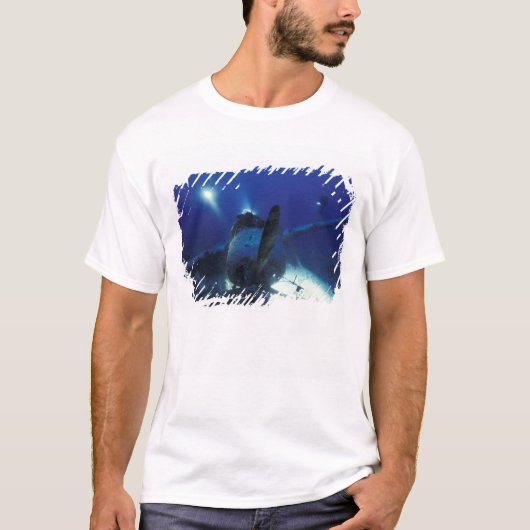 Micronesia, Palau, werelderfgoedgebied. Divers T-shirt (Voorkant)