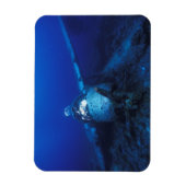 Micronesia, Palau, werelderfgoedgebied. WWII Magneet (Verticaal)