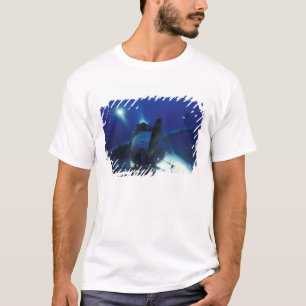 Micronesië, Palau, werelderfgoed. Duikers T-shirt