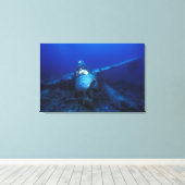 Micronesië, Palau, werelderfgoed. WOII Canvas Afdruk (Insitu (Houten vloer))
