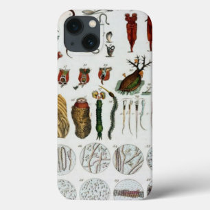 Microorganismen animales  biologisch schema tabbla Case-Mate iPhone case