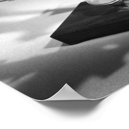 Microscoop Poster (Hoek)