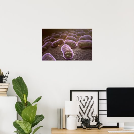 Microscopic view of bacteria poster (Thuiskantoor)