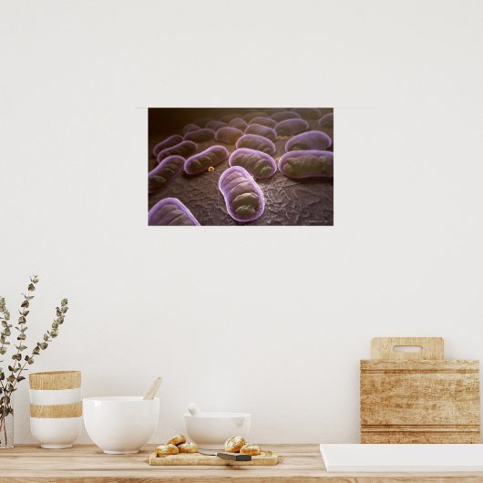 Microscopic view of bacteria poster (Keuken)
