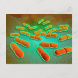 Microscopic View Of Listeria Monocytogenes 3 Briefkaart