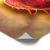 Microscopic View Of Phagocytic Macrophages 2 Poster (Hoek)