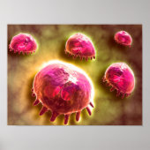 Microscopic View Of Phagocytic Macrophages 2 Poster (Voorkant)