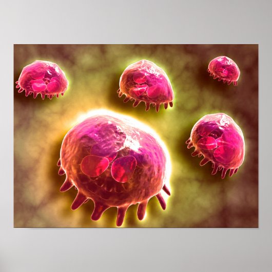 Microscopic View Of Phagocytic Macrophages 2 Poster (Voorkant)