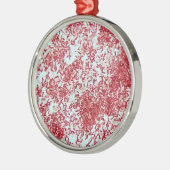 Microscopie van gramnegatieve bacteriën metalen ornament (Links)