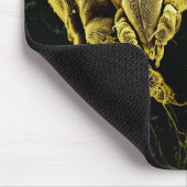 Microscopisch Arthropod Acari Mite Lorryia Formosa Muismat (Hoek)