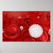 Microscopisch onderzoek naar bloedcellen poster (Voorkant)