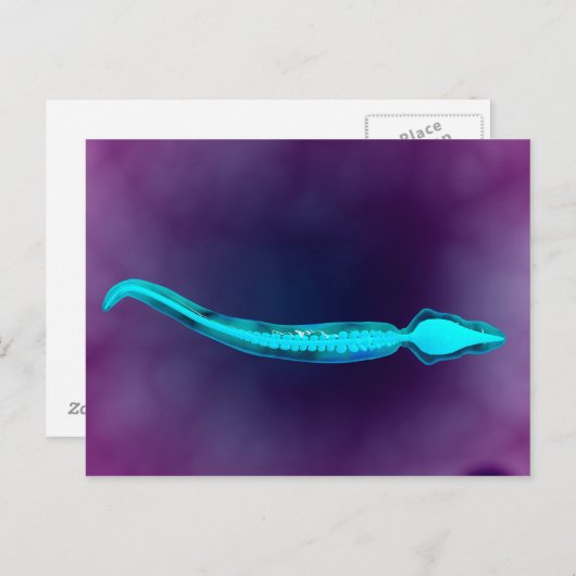 Microscopisch Uitzicht met botstructuur van het sp Briefkaart (Voorkant / Achterkant)