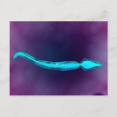 Microscopisch Uitzicht met botstructuur van het sp Briefkaart (Voorkant)