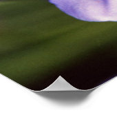 Microscopisch Uitzicht Poster (Hoek)