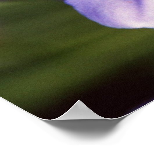 Microscopisch Uitzicht Poster (Hoek)