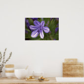 Microscopisch Uitzicht Poster (Keuken)