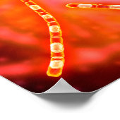 Microscopisch Uitzicht van antrax 1 Poster (Hoek)