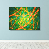 Microscopisch Uitzicht van antrax 2 Canvas Afdruk (Insitu (Houten vloer))