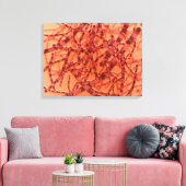 Microscopisch Uitzicht van antrax 3 Canvas Afdruk (Insitu (Woonkamer))