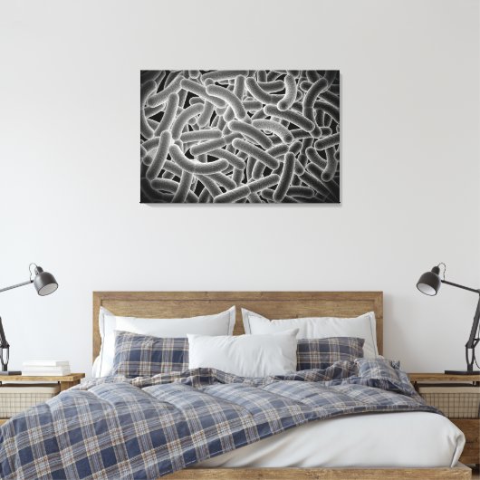 Microscopisch Uitzicht van Bacilli Bacteria Canvas Afdruk (Insitu (Slaapkamer))