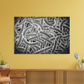 Microscopisch Uitzicht van Bacilli Bacteria Canvas Afdruk (Insitu (Woonkamer))