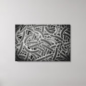 Microscopisch Uitzicht van Bacilli Bacteria Canvas Afdruk (Voorkant)