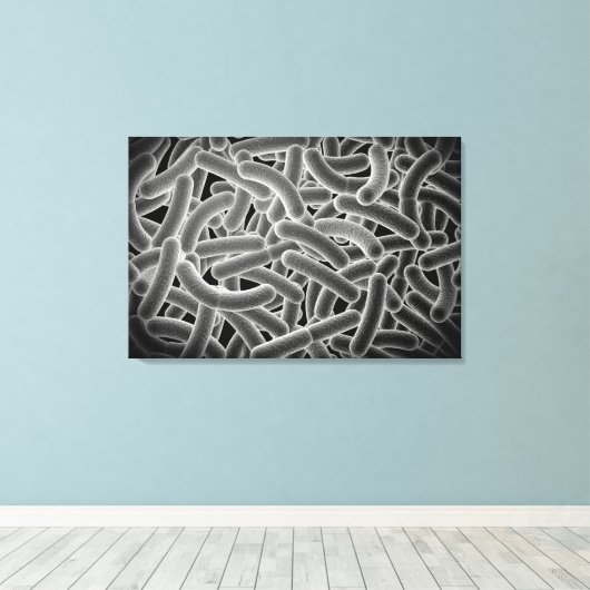 Microscopisch Uitzicht van Bacilli Bacteria Canvas Afdruk (Insitu (Houten vloer))