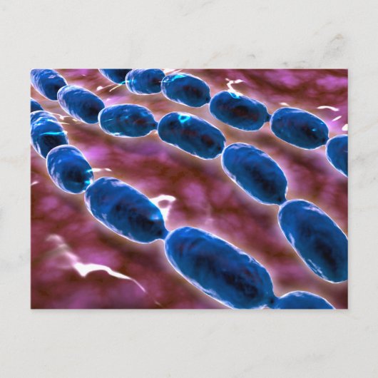 Microscopisch Uitzicht van bacteriële pneumonie 1 Briefkaart (Voorkant)
