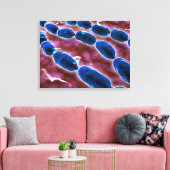 Microscopisch Uitzicht van bacteriële pneumonie 1 Canvas Afdruk (Insitu (Woonkamer))