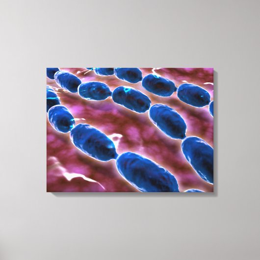 Microscopisch Uitzicht van bacteriële pneumonie 1 Canvas Afdruk (Voorkant)