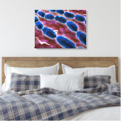 Microscopisch Uitzicht van bacteriële pneumonie 1 Canvas Afdruk (Insitu (Slaapkamer))