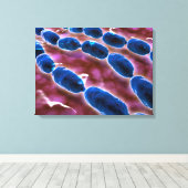Microscopisch Uitzicht van bacteriële pneumonie 1 Canvas Afdruk (Insitu (Houten vloer))