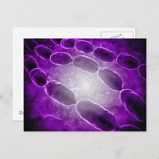 Microscopisch Uitzicht van bacteriële pneumonie 2 Briefkaart (Voorkant / Achterkant)