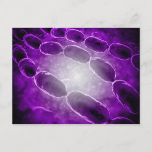 Microscopisch Uitzicht van bacteriële pneumonie 2 Briefkaart