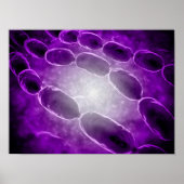 Microscopisch Uitzicht van bacteriële pneumonie 2 Poster (Voorkant)