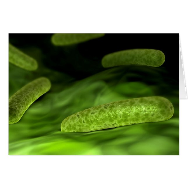 Microscopisch Uitzicht van bacteriën 1 (Voorkant Horizontaal)