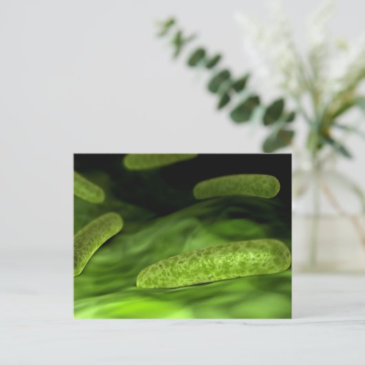 Microscopisch Uitzicht van bacteriën 1 Briefkaart (Staand voorkant)